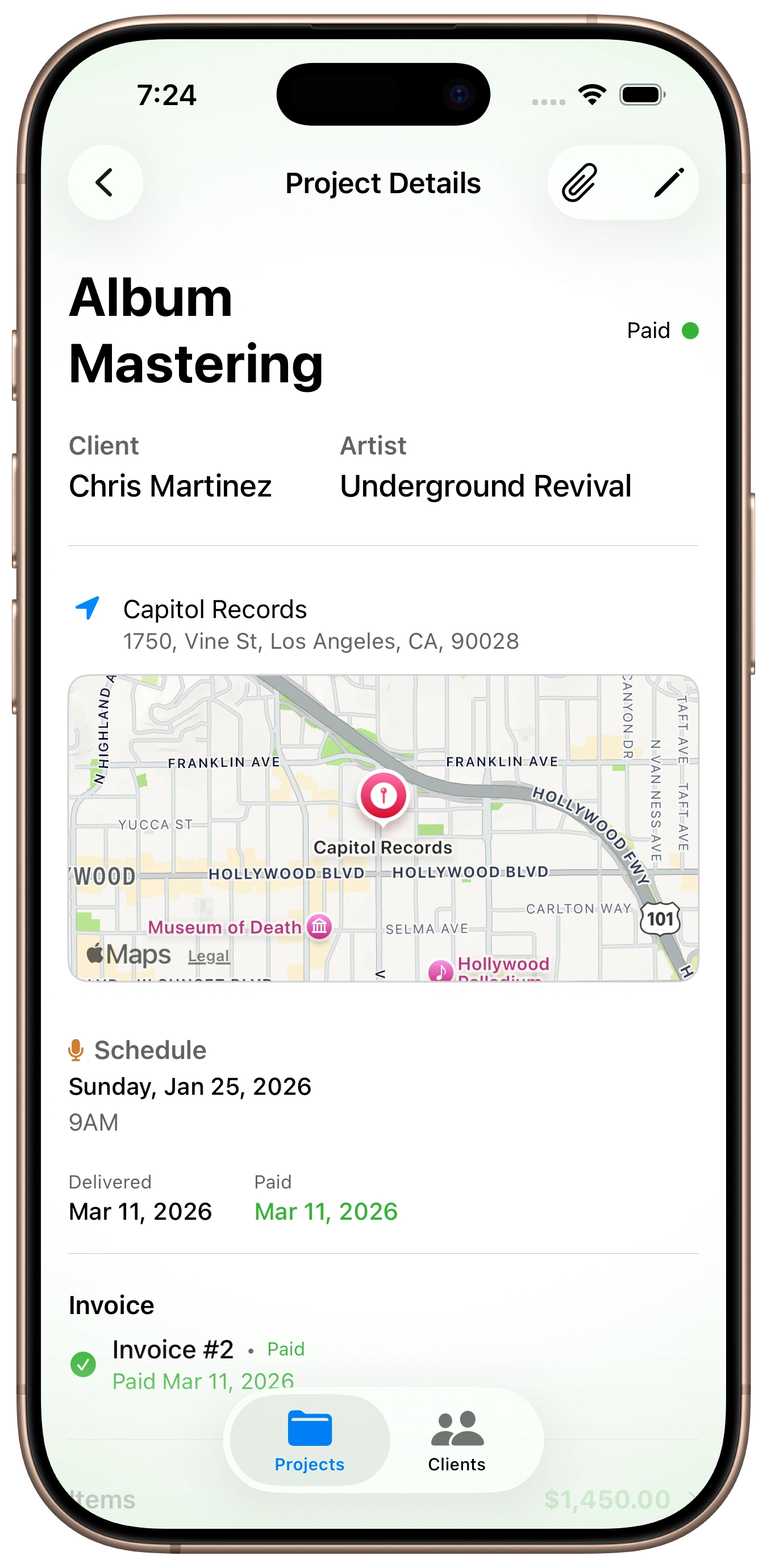 GigLedgerPro project details